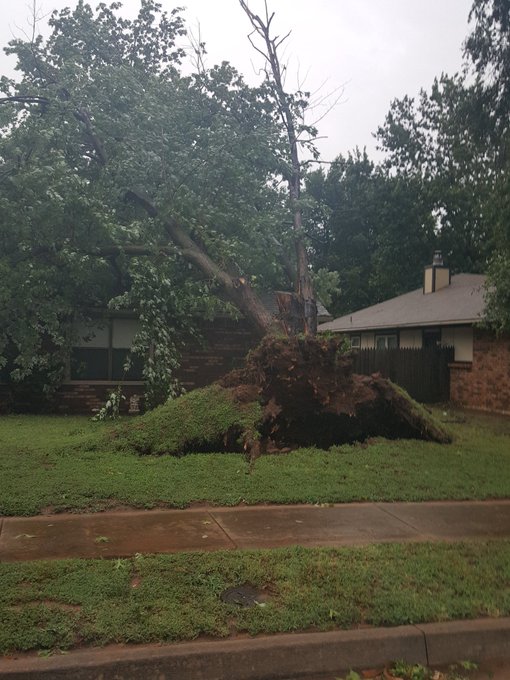 View image on Twitter View image on Twitter