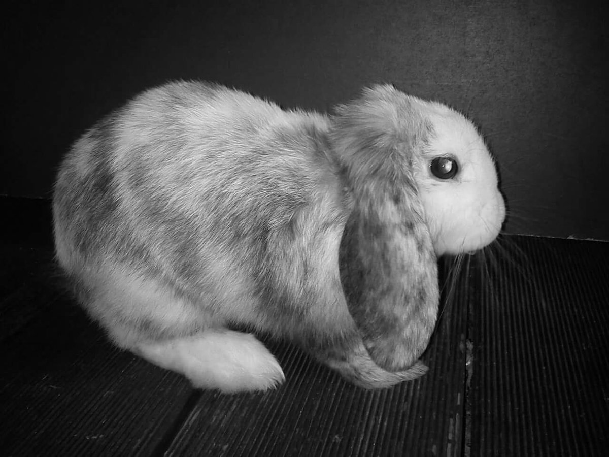 xIRENfeedZ's tweet photo. Farewell my Friend..
I hope you will find peace, whereever you are.. Rest In Peace https://t.co/MqbPjg8piH