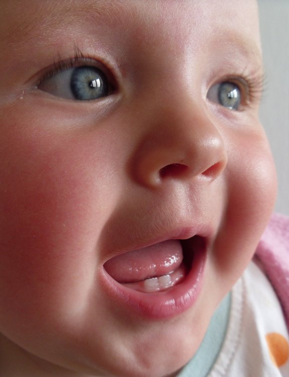 dabellpaventy's tweet image. A baby's primary #teeth start to grow in around 6 months old. There are 20 in all! mouthhealthy.org/en/az-topics/e… #Spokane