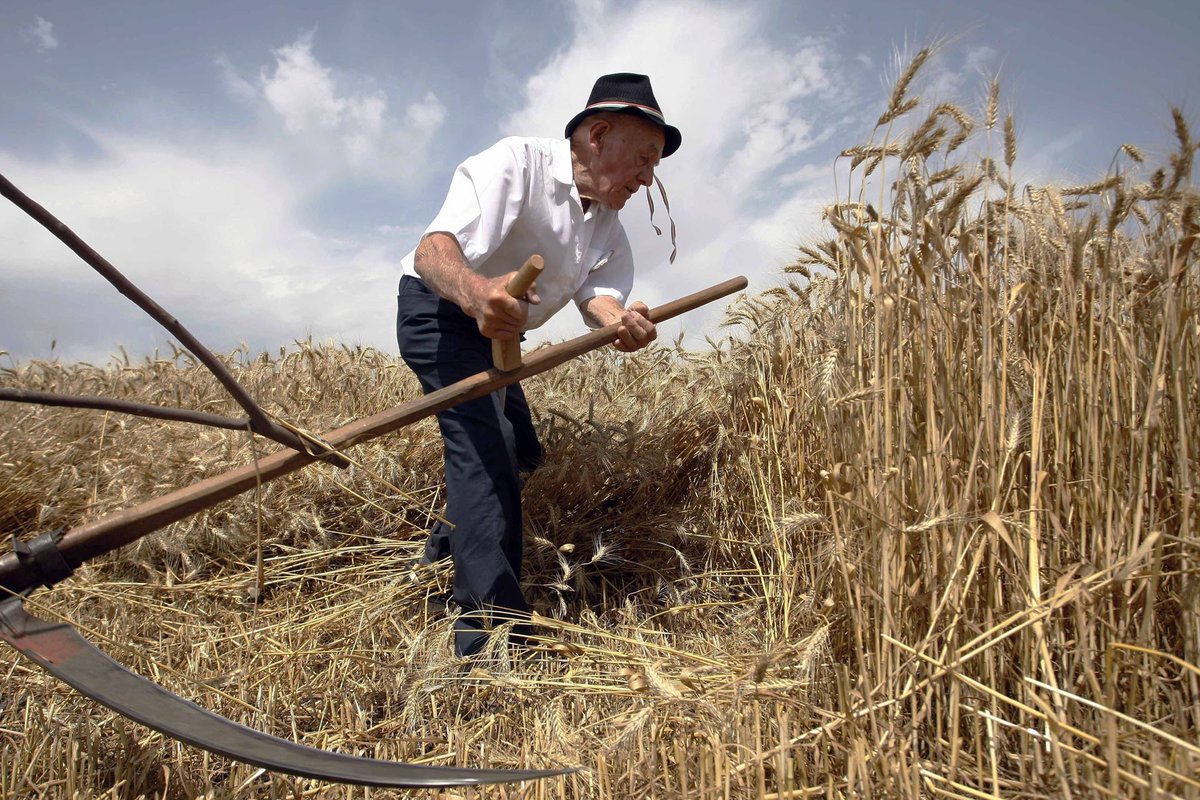 BodorPcs's tweet image. Ez a hét is jól kezdődik :D