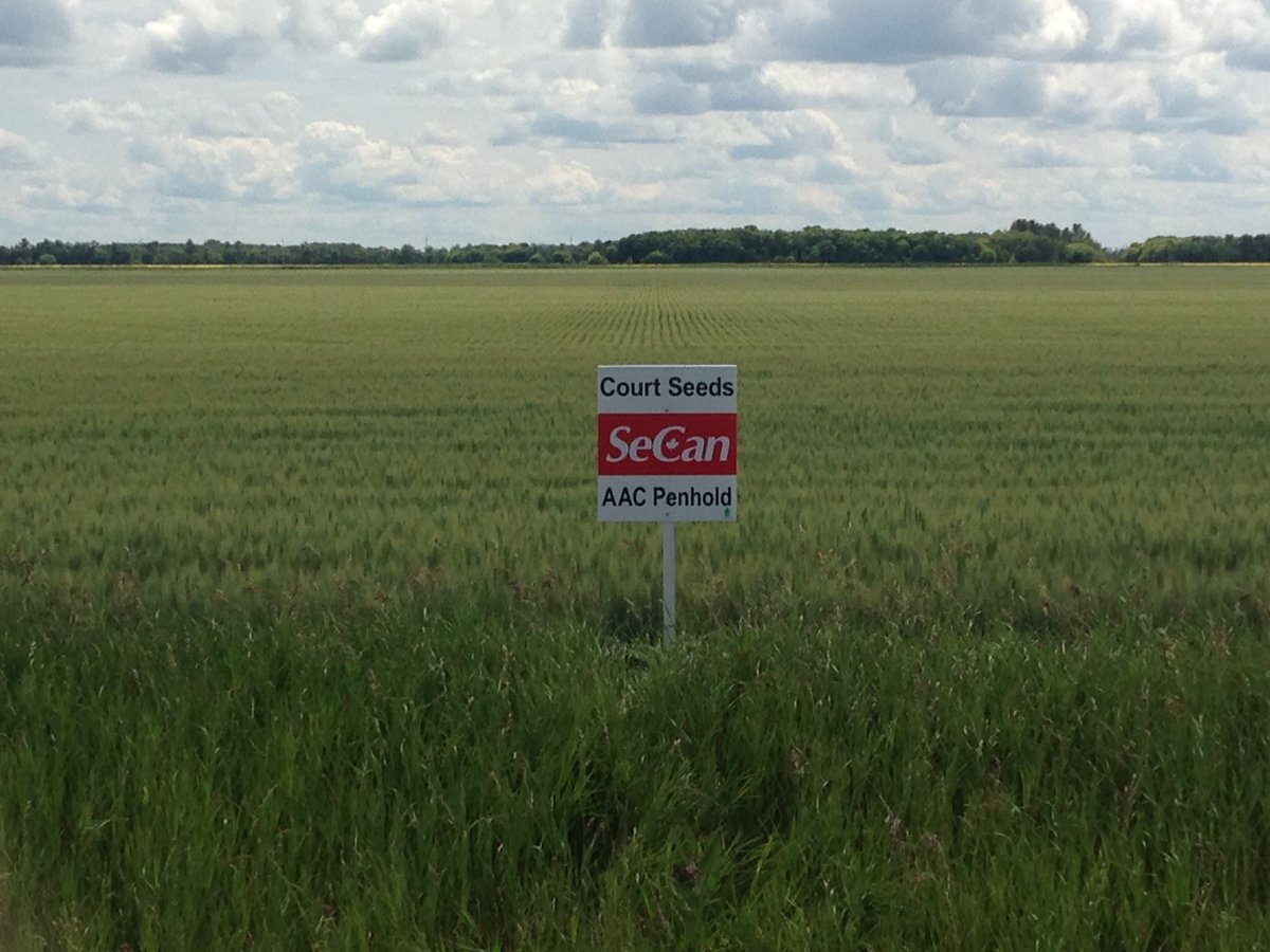 TLCourt's tweet image. Perfect signing day and a perfect field. If only they all looked this nice! @SeCan @SeCanBrad @courtseeds