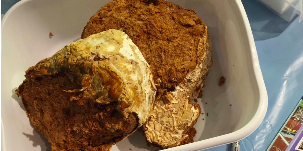 TechInsider's tweet photo. Everything you own could one day be made from mushrooms https://t.co/mnLeu7i9TD https://t.co/SYvR5Dlk0c