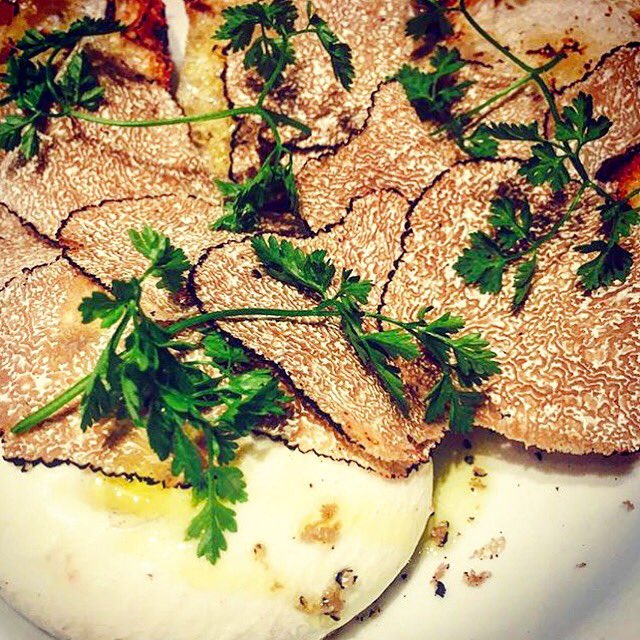 UrbaniTruffles's tweet photo. #LunchGoal of this summer- burrata with summer truffles at #AltaRestaurant. Photo credit: Chef Steven Hubbell. https://t.co/g4CLNjfI66