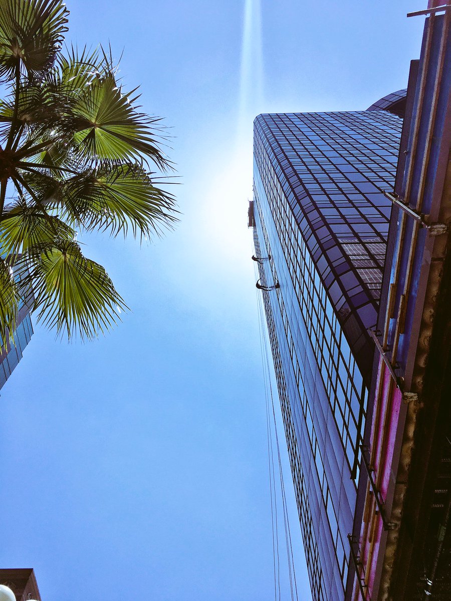 TheTenant_Group's tweet photo. Looking up in #DTLA never disappoints. To climb or not to climb?! @TheBlocLA #shatterproofchallenge #CRE https://t.co/fYewhjMUF4