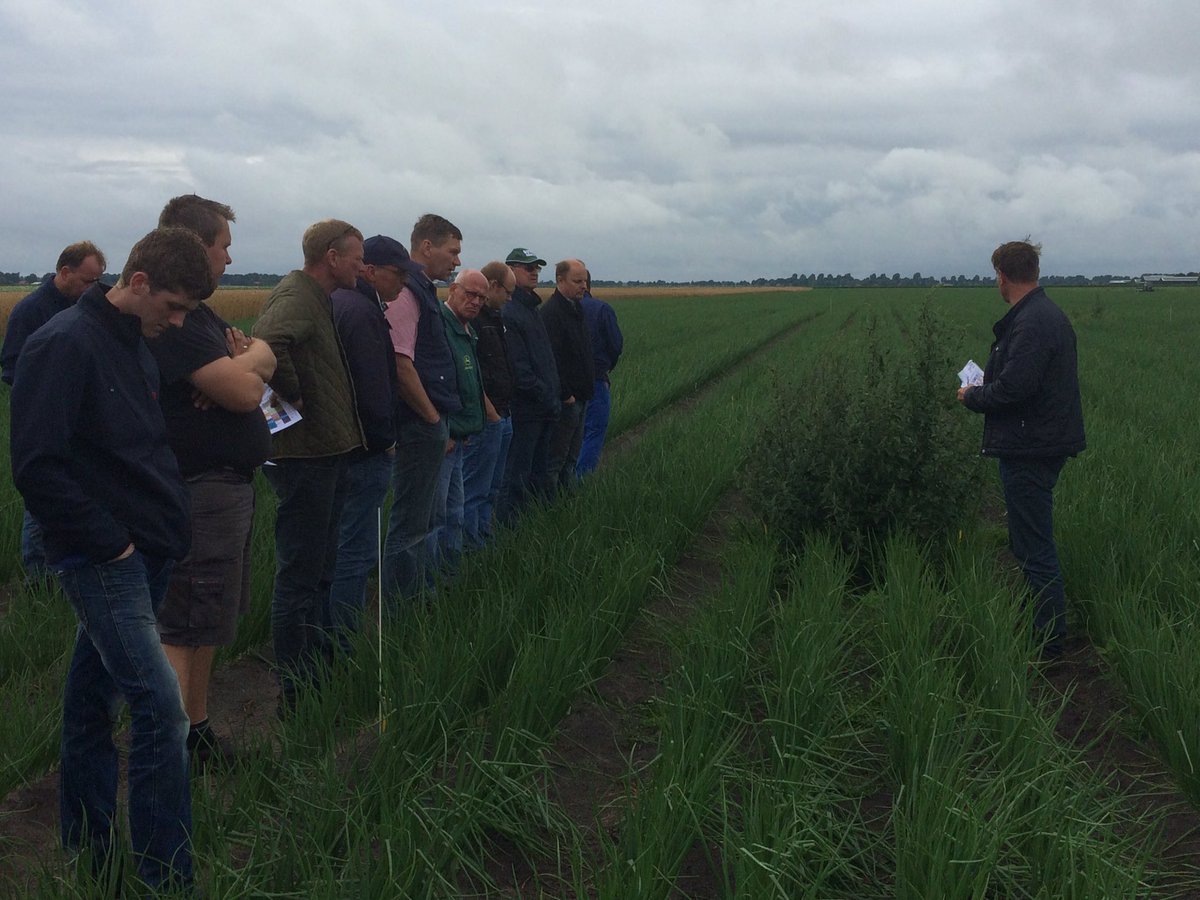 johanottens's tweet photo. #uientelers noordoost bezichtigen herbicidenproef @Agrifirm_Plant in Valthermond mmv Cebeco Agrochemie #kennisdelen https://t.co/ElM2NKghCK