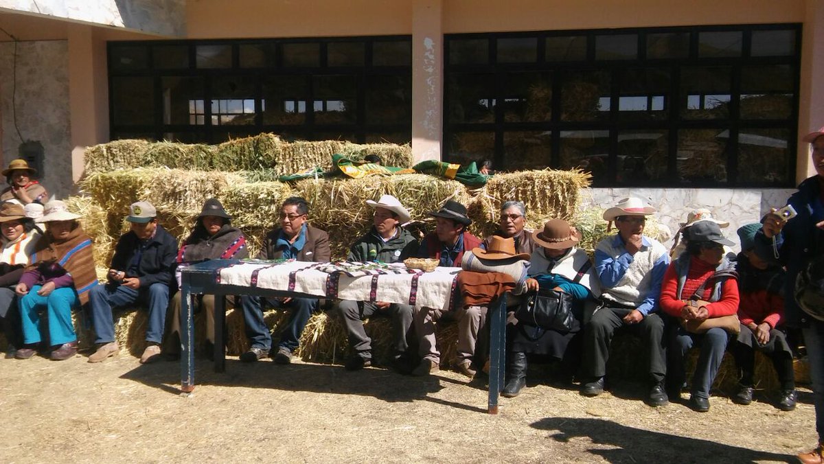 midagriperu's tweet photo. #Ahora
#Minagri entrega 30mil kilos de pacas a pobladores del distrito de #SimonBolivar #Pasco #AbrígatePerú https://t.co/HUAkBFj4at