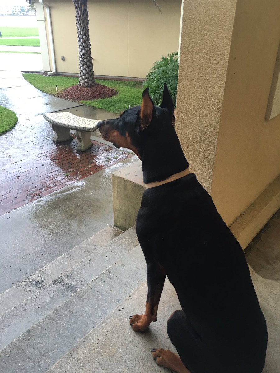 Cass ⚜️ tweet media