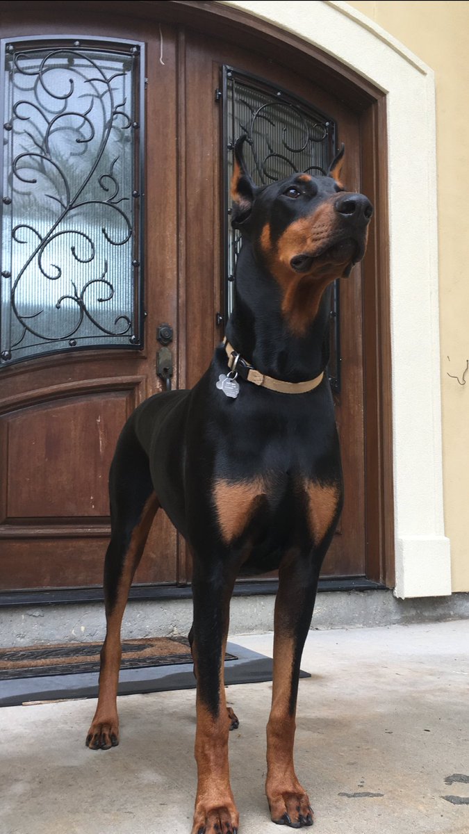 Cass ⚜️ tweet media