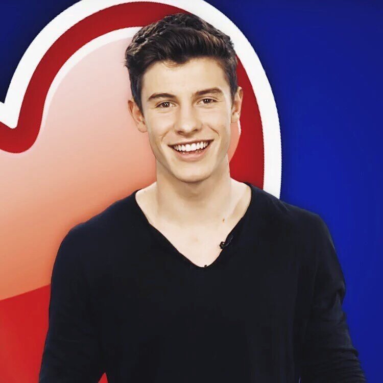 ltfiles's tweet photo. 🌸 eu amo muito o shawn e vou protegê-lo pra sempre 🌸 #BrazilLovesShawnMendes https://t.co/x77HdeN3rv