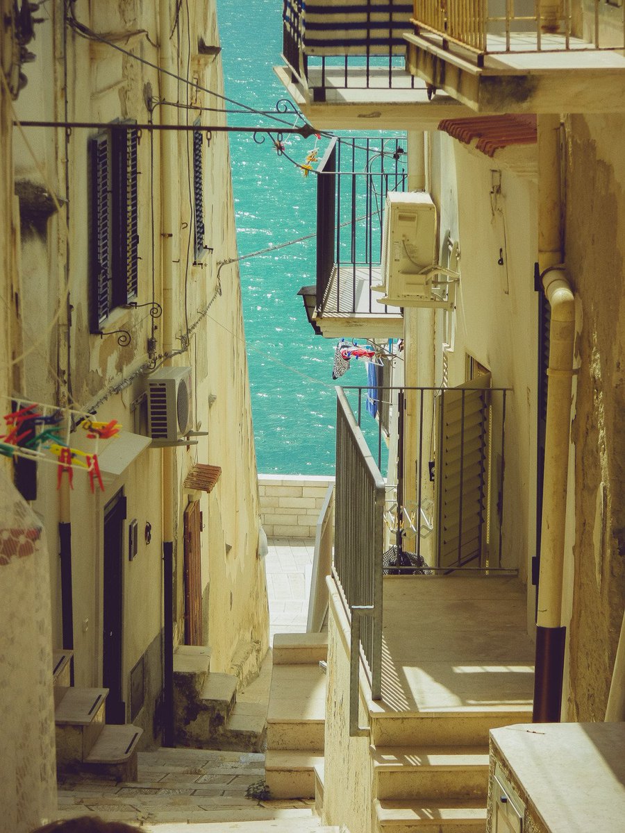 lavorite's tweet image. 