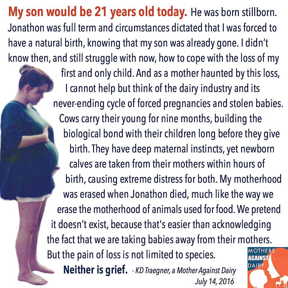 YourDailyVegan's tweet image. I&apos;m sharing my story today with Mothers Against Dairy bit.ly/29FJCh8 #vegan