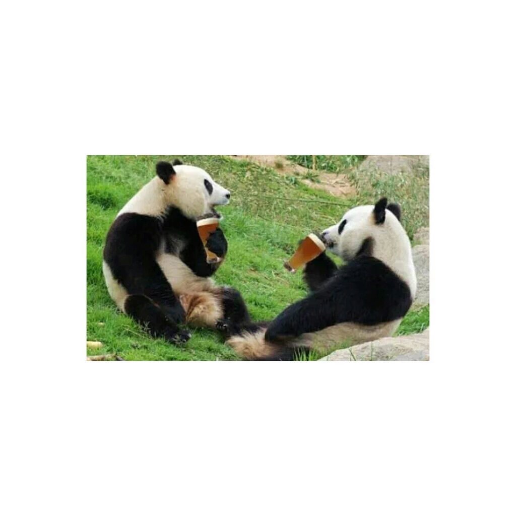 anne artık oğlun eskisi kadar masum değil