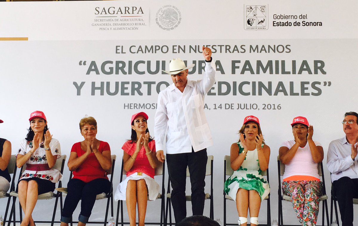 GGroxanaaguirre's tweet photo. Por más urbana q sea nuestra vida nuestros cuerpos viven d la agricultura #HuertosMedicinales #MujeresRurales #ExMx https://t.co/l530TXkBH2