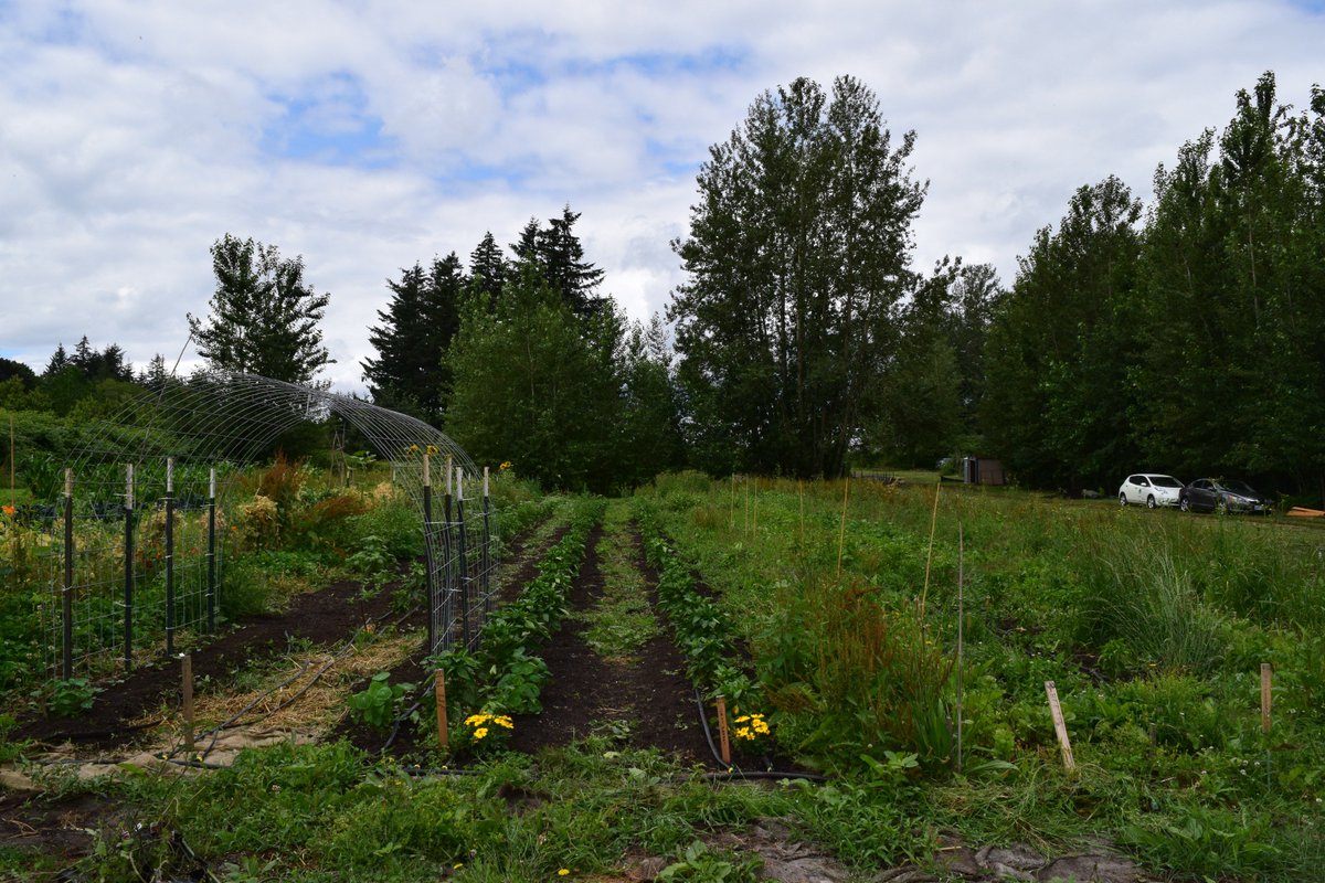 Beautiufl Day at the #CROPSFarm