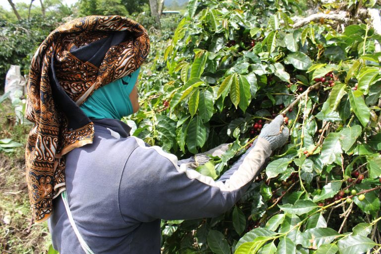 @SCAE_Community is having a FIELD TRIP to Indonesia this month! Have you booked it yet?