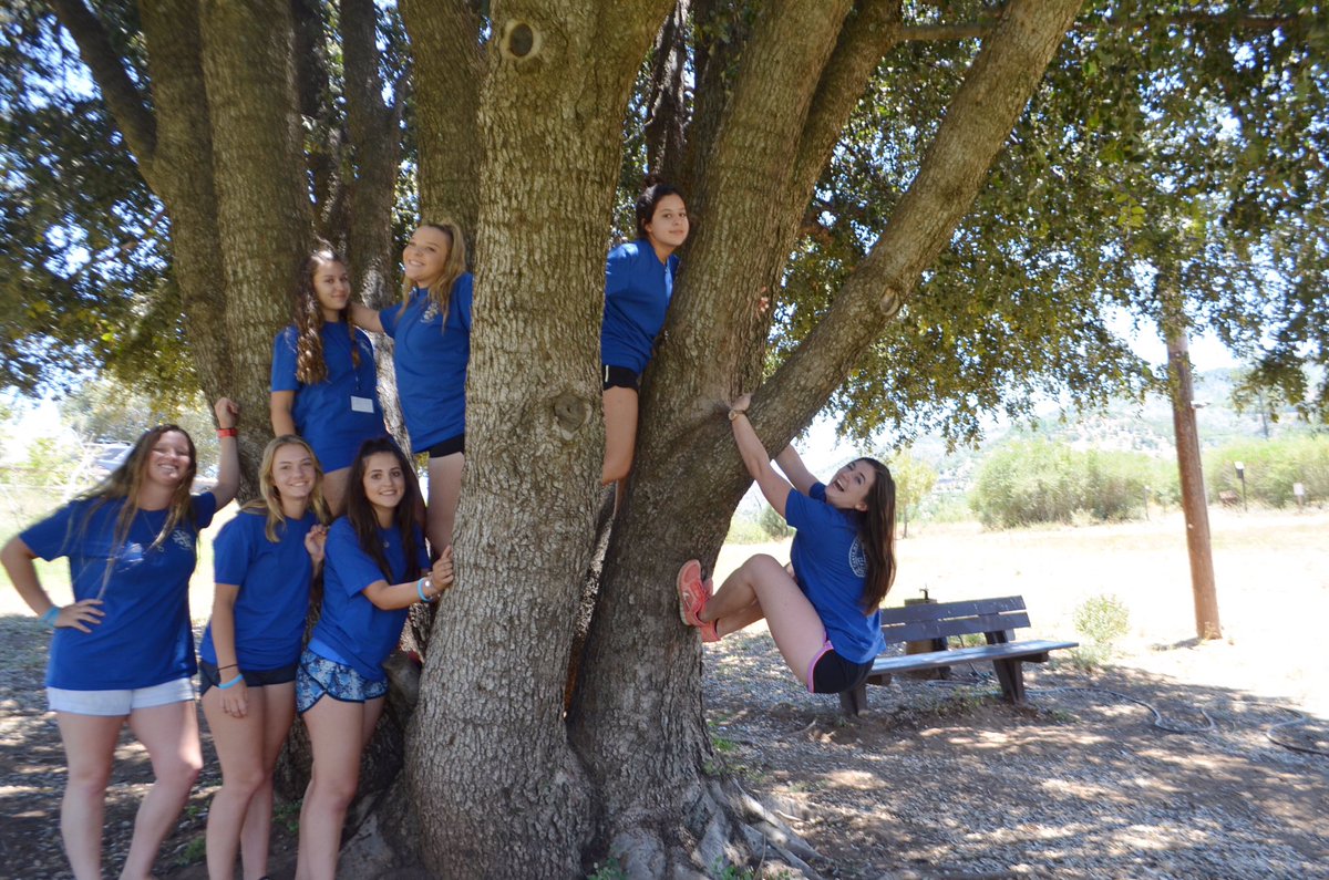 magstersmorris's tweet photo. this group of ppl makes me so incredibly happy (also I enjoy the way I'm gracefully hanging from the tree) #k126 https://t.co/EfGy9kzVHQ