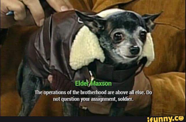 "Doggie Elder Maxson? Ha. I would listen to him more if he was a cute dog."