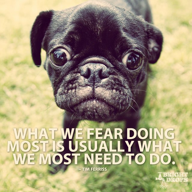 JayBusselle's tweet image. Tim Ferriss.- Brightdrops.com @brightdrops #quote