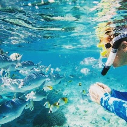 /Place: Some of the best snorkeling can be enjoyed in Fiji! #Discover <a href="/DolphinFiji/">Dolphin Island Fiji</a>  at eleqt.com/dolphinislandf…