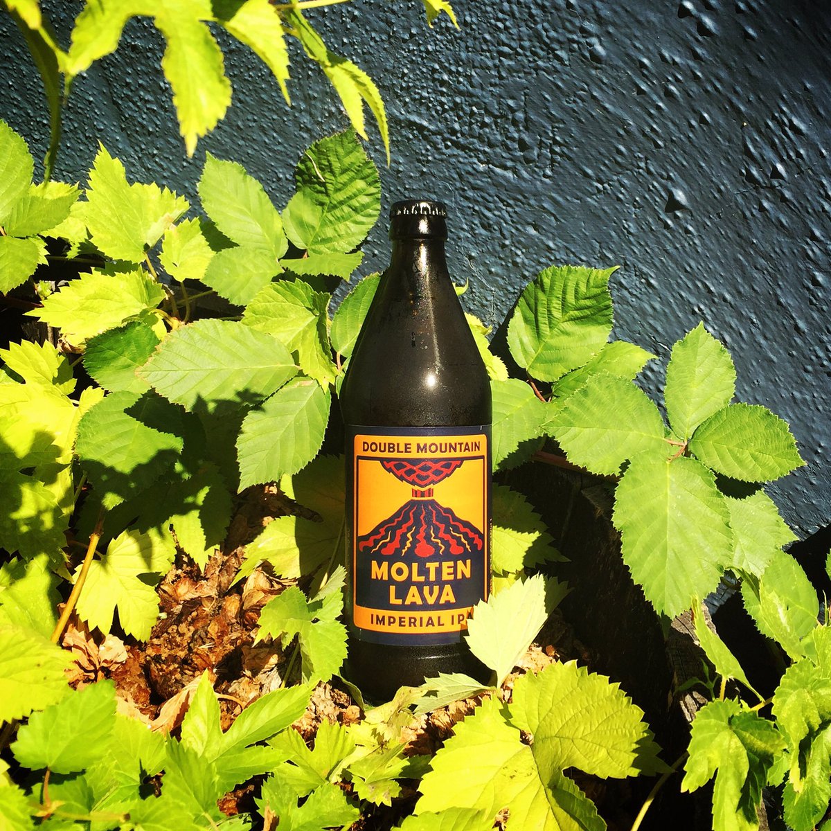 This trouble maker is available in the taproom &amp; hitting shelves soon. #moltenlavaiipa #doublemountain