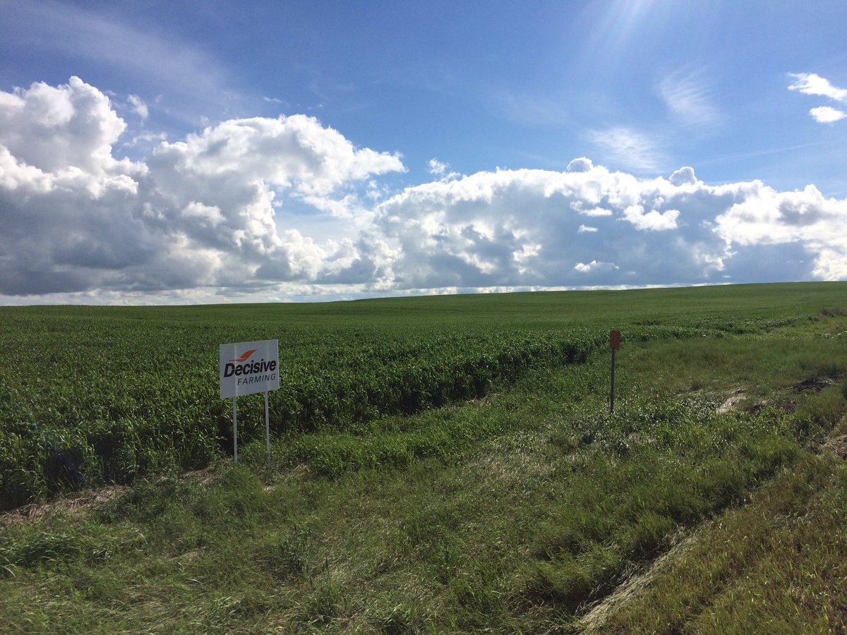 DeanKinchen's tweet photo. Section of Durum near Lafleche, SK looking awesome using Decisive Optimize #VRfertility and #VRseed https://t.co/5yiXh1lXwx