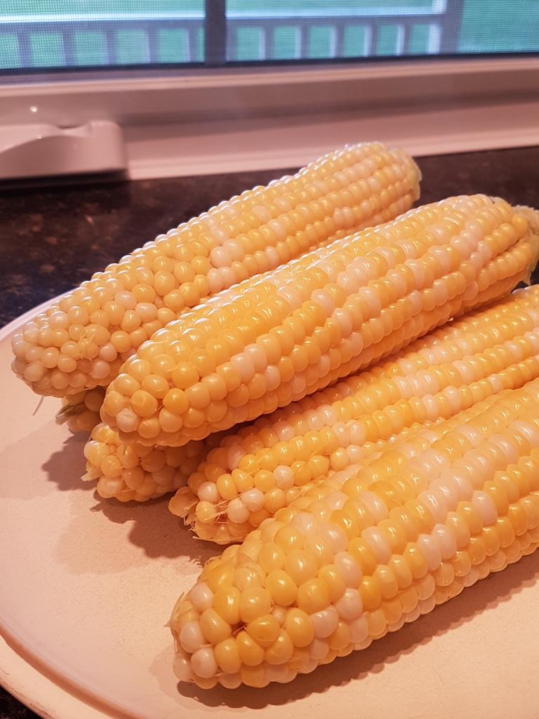 Our corn stand is open 10 to 6 now Sunday to Friday and 9 to 6 Saturdays.