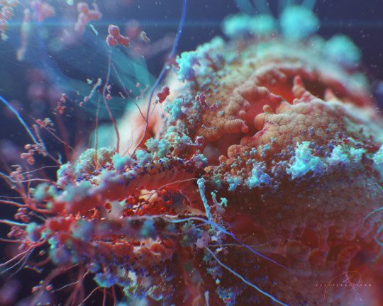 Vilavaite's tweet photo. #HIV by Ukrainian Artist Alexey Kashpersky
“All small elements taken from the HIV #CellPACK model" https://t.co/vSXkPY4nDj