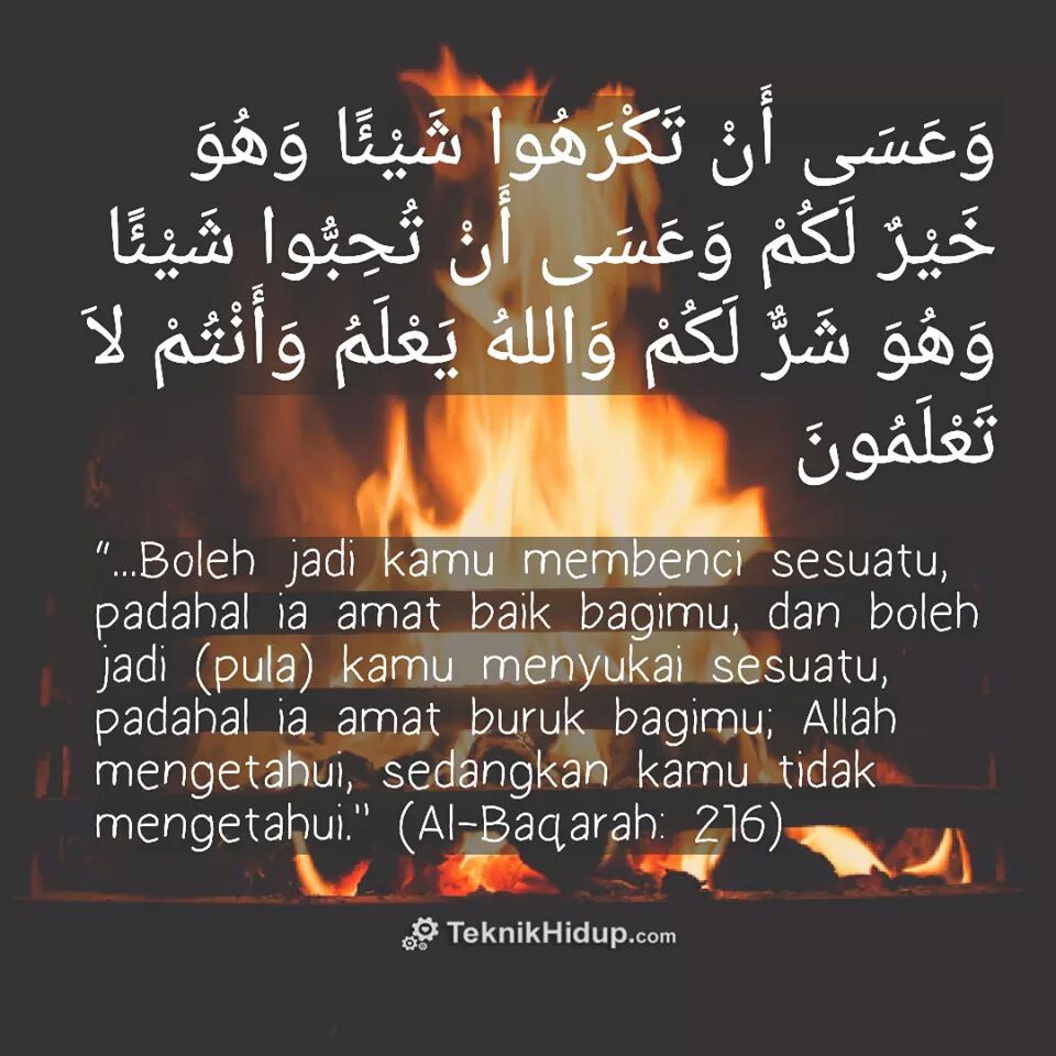 indrieHeiDie's tweet photo. . https://t.co/FreYuQOt0Q