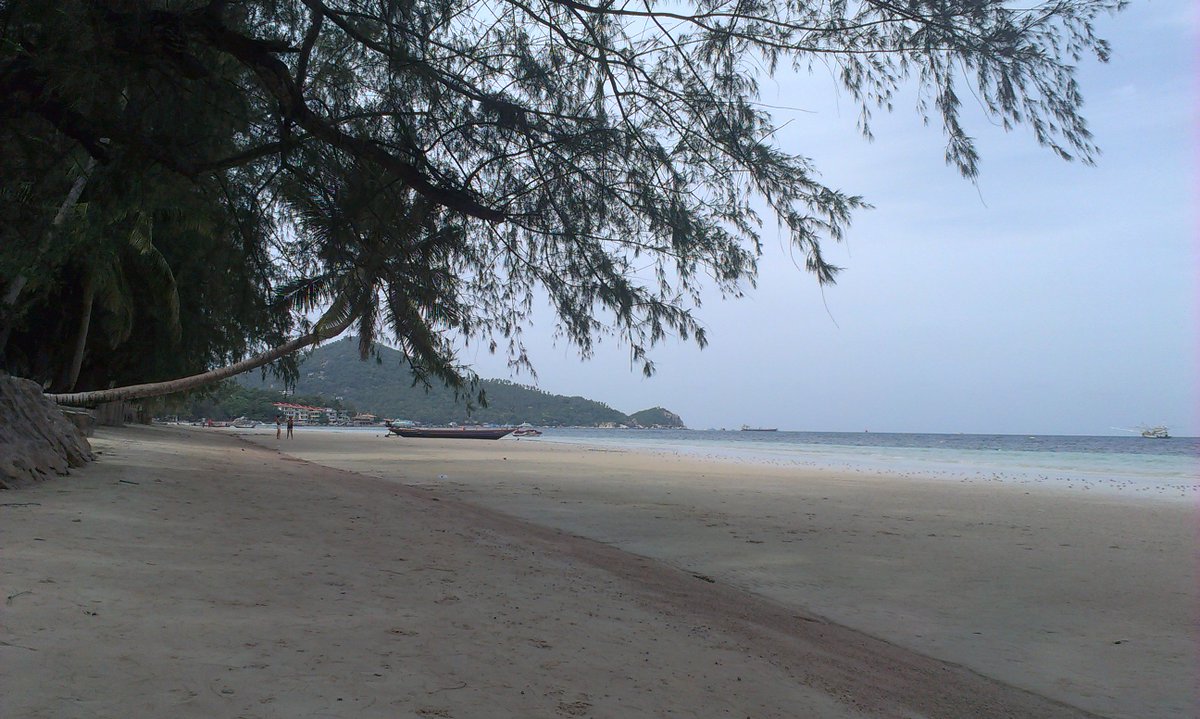 CalvinRescueCat's tweet photo. #calvinsthoughts My hooman went on holiday! (Without me, 'Sigh')... #Holiday #Beach #cutecat #kohtao #Thailand https://t.co/CX2czOQfNu
