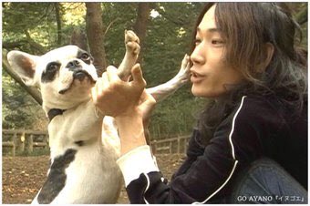 このドラマめっちゃ好きだったんだけど知ってる人いないかなぁ〜 綾野