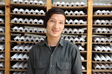 UNDP's tweet image. After #drugrehab, #eggs provide #jobstability &amp;amp; a purpose for Dorji: on.undp.org/eFd #YouthSkillsDay