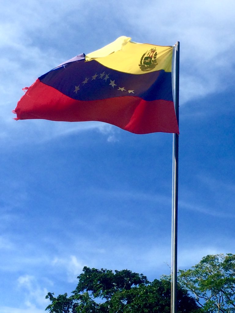 Hoy te vi y aunque rota y cansada muestras orgullosa lo que representas,abundancia,esperanza,arrojo y libertad "