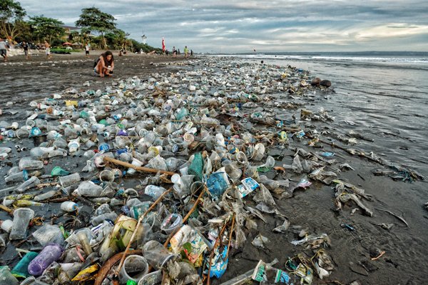 Greds22's tweet photo. Memang sangat memilukan hati melihat kerusakan lingkungan di teluk benoa @jokowi @SitiNurbayaLHK https://t.co/WPJ2BpXjjo