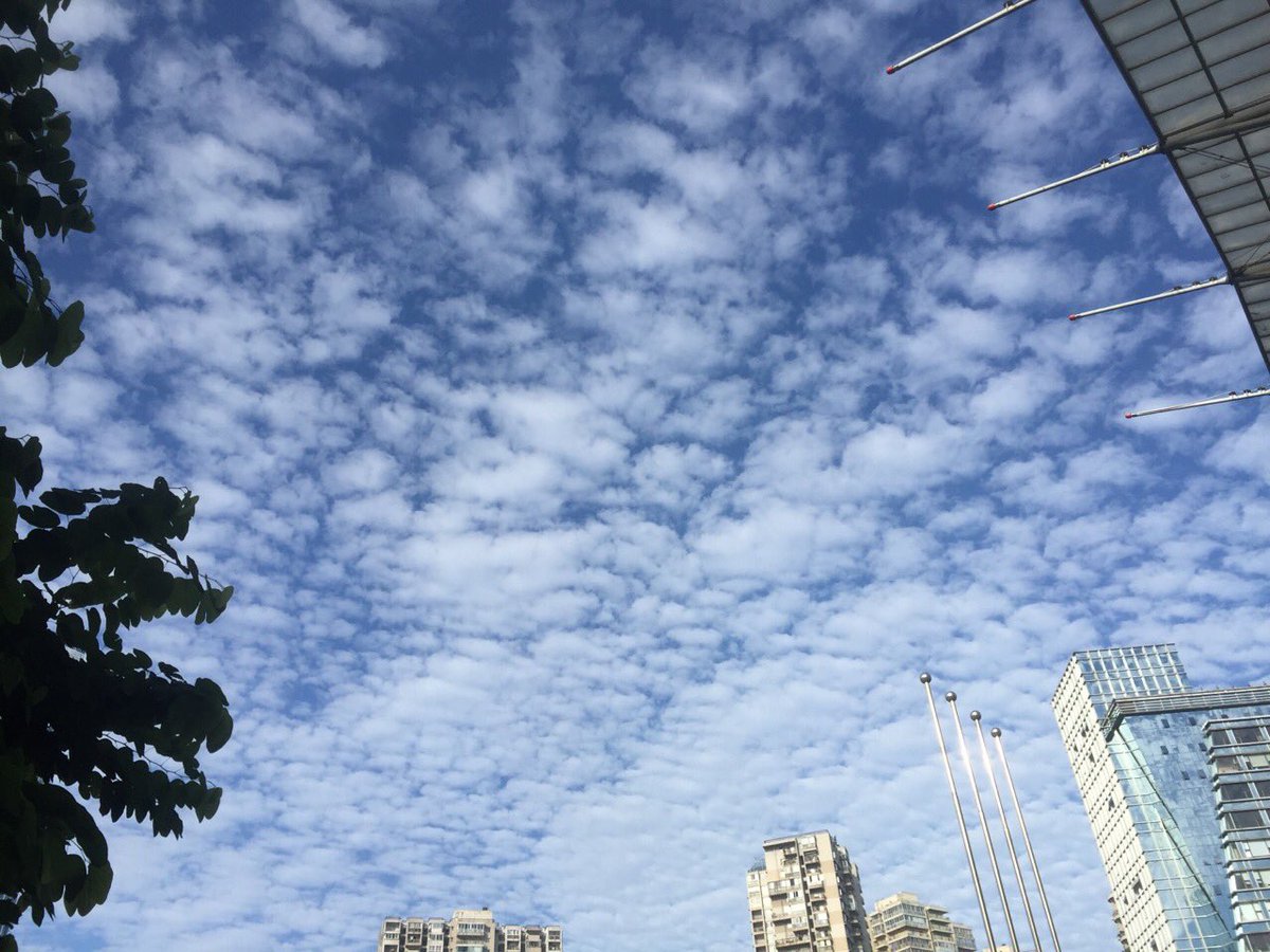 Mr_Chriscallan's tweet photo. 好天气。 https://t.co/I3le7okfhB