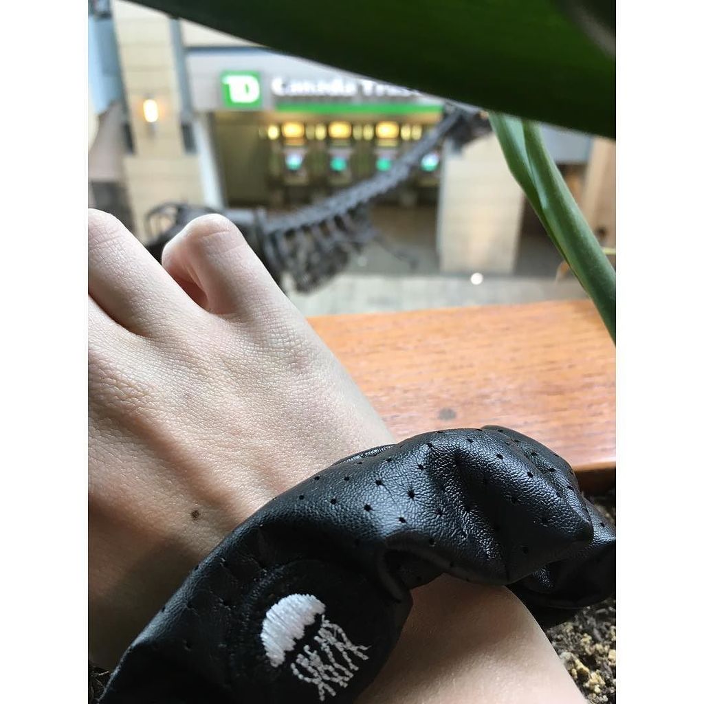 ezzylynn's tweet photo. I'm rex-y and I know it. #BAtakeover #yyc #scrunchietime https://t.co/23uRI0fU9v https://t.co/0xCVQ99DOu