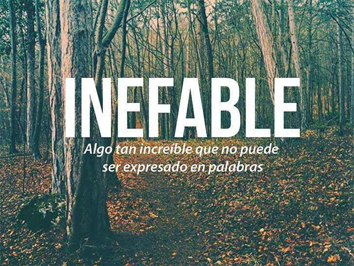 iBellasPalabras's tweet photo. https://t.co/hutyhr1xi5