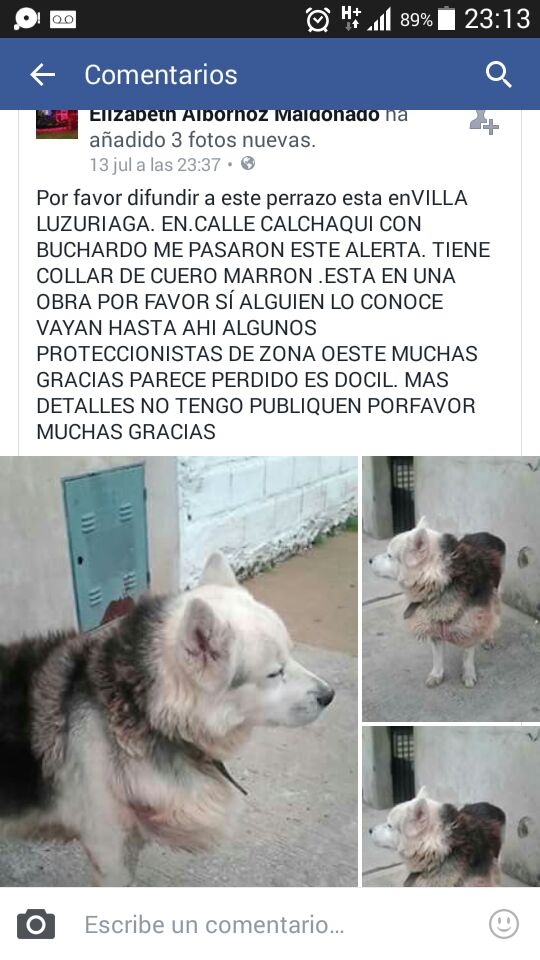 refugioenalerta's tweet photo. #VillaLuzuriaga ayudemos al reencuentro c rt https://t.co/p9CzQvLAMN