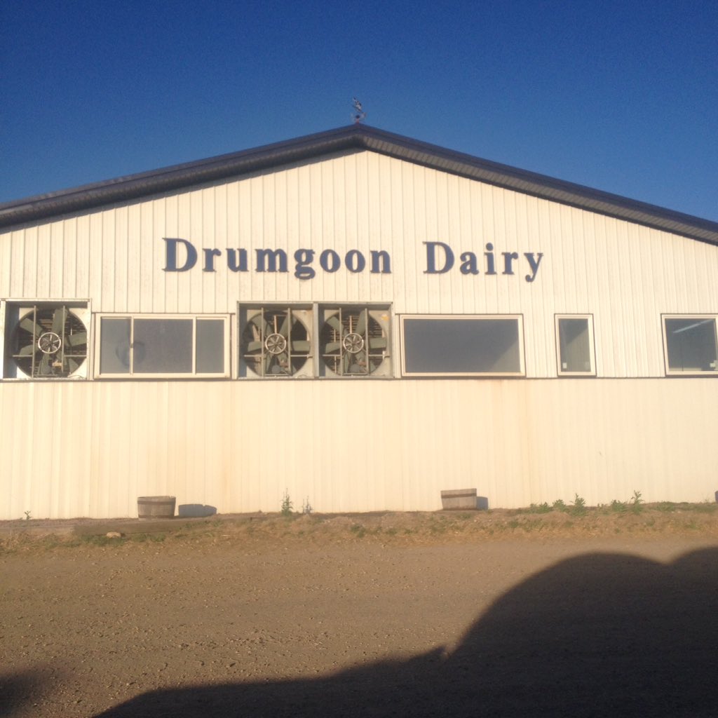 Liam McCabe (LiamKillinkere) Twitter