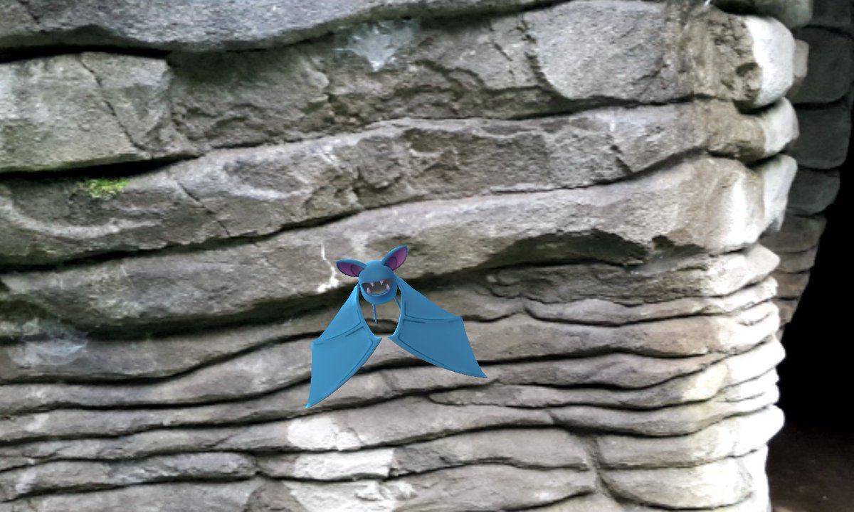 WaitomoCaves's tweet photo. Waitomo is famous for special creatures of the glowworm kind – but this week it seems we’ve had some new arrivals.. https://t.co/q4JvjATwVb