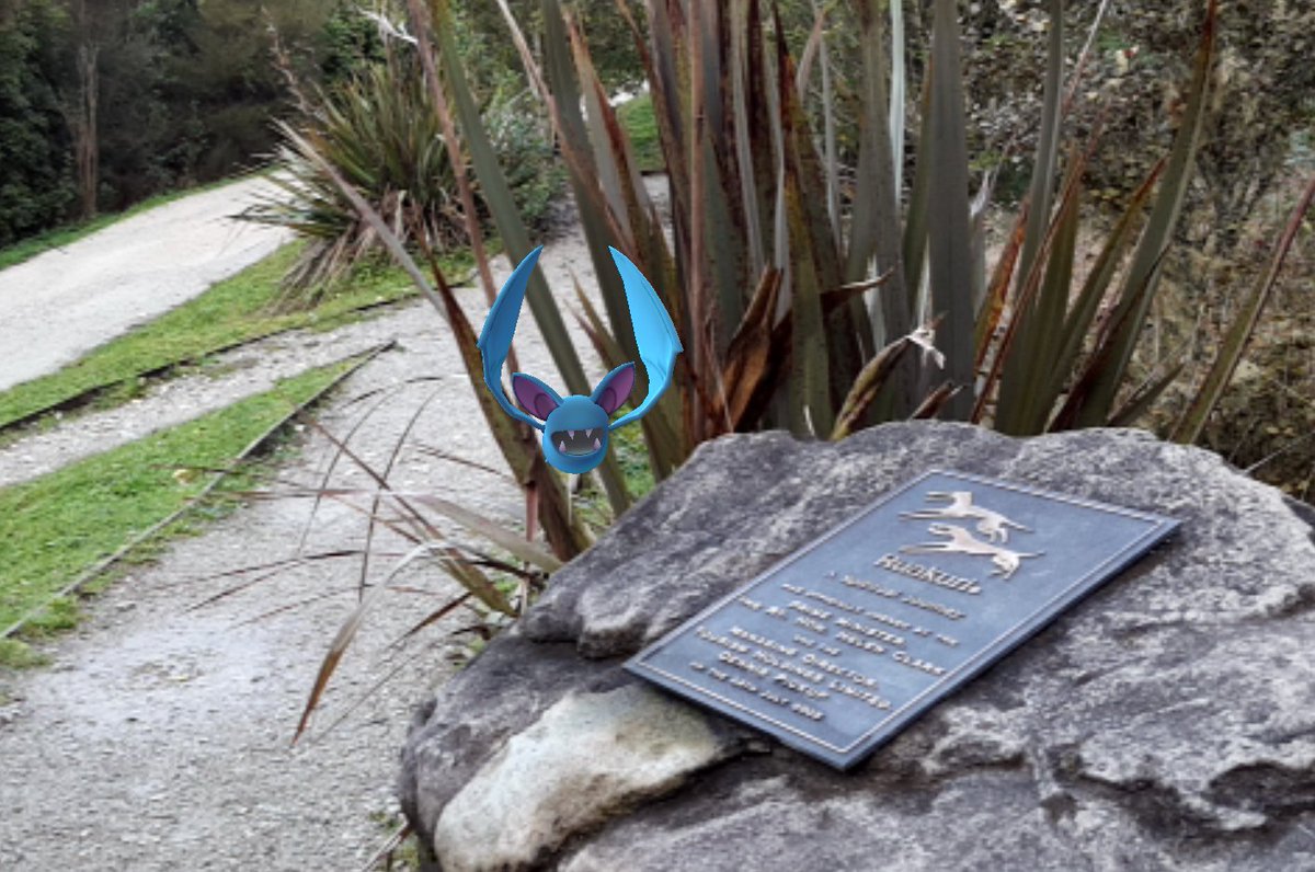 WaitomoCaves's tweet photo. Waitomo is famous for special creatures of the glowworm kind – but this week it seems we’ve had some new arrivals.. https://t.co/q4JvjATwVb