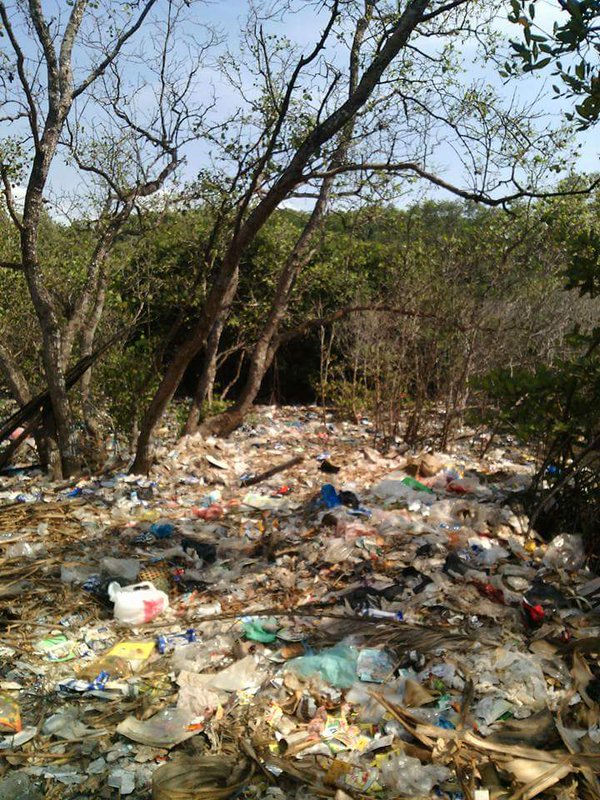 Greds22's tweet photo. kenapa kondisi ini diabiarkan merusak teluk benoa ?? @jokowi @SitiNurbayaLHK https://t.co/Wyt1yAbn1x