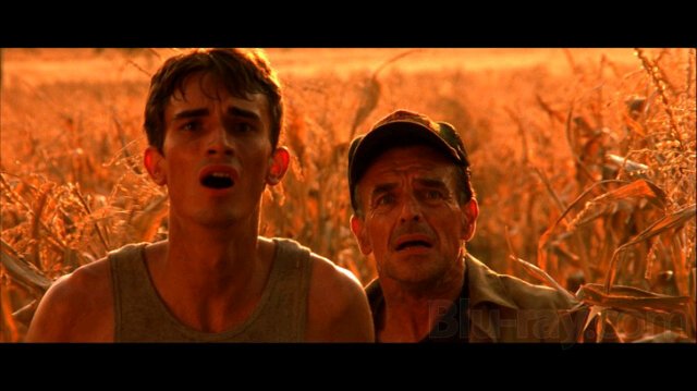 Every 23 years for 23 days it gets to eat. Victor Salva is my role model ����