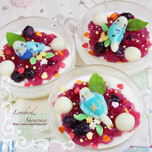 O Xrhsths Kaori Birdshowcas Sto Twitter 今日は白玉インコのせた ヨーグルトゼリー セキセイインコのポーズを いろいろ作ってみました Blog T Co N4fpyxmm5u インコ 白玉 ゼリー T Co Hfrs4yegsd Twitter