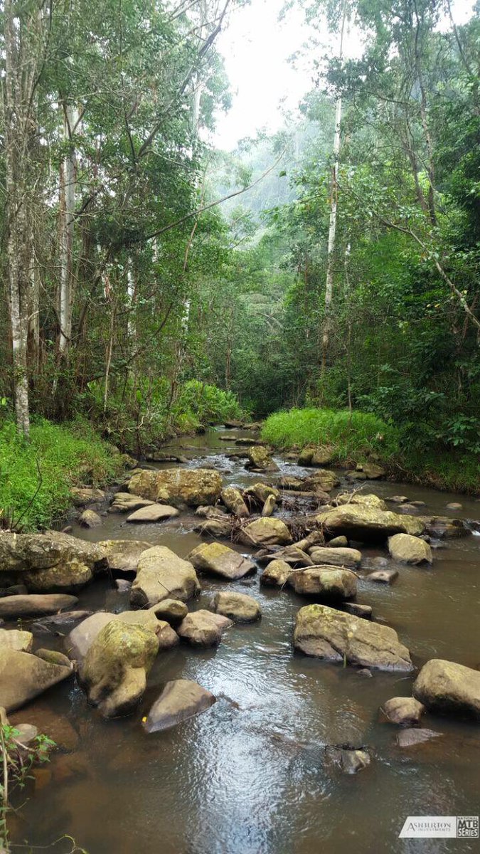 RT <a href="/NatMTBseries/">NATIONAL MTB SERIES</a>: The spectacular scenery that awaits <a href="/AshburtonInvest/">AshburtonInvestments</a> <a href="/Holla_Trails/">Holla Trails</a> 

On the Ultra &amp; Marathon.