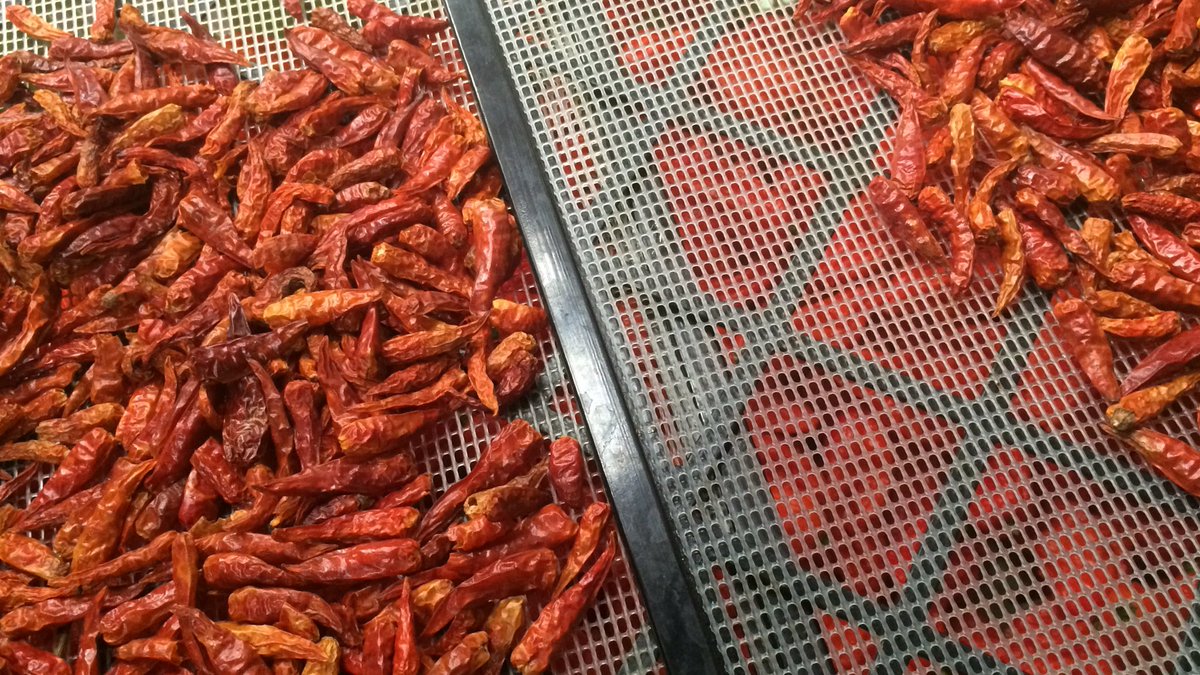 MushemiFire's tweet image. Smoked Piri Piri chilli oil today