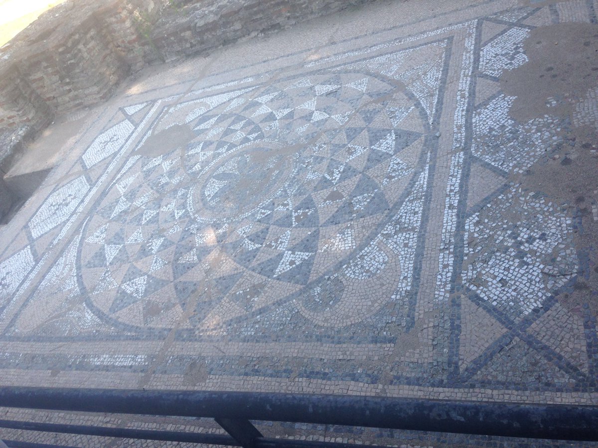 BroHyddgen's tweet image. Day four - Archaeological Park of Dion. We saw a tortoise!