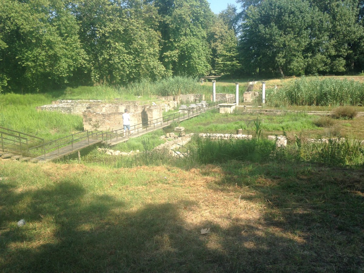 BroHyddgen's tweet image. Day four - Archaeological Park of Dion. We saw a tortoise!