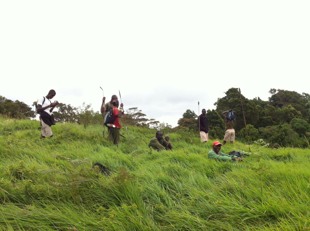 KitichCamp's tweet photo. Hi-ho hi-ho it's off to work we go...Clearing paths in the forest, ready for visiting explorers! #kitichcamp #safari https://t.co/WokT1XEU22