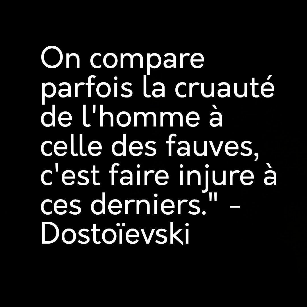 Lukas Cette Citation De Dostoievski Fait Vraiment Reflechir Prayfornice Lukas Cette Citation De Dostoievski Fait Vraiment Reflechir Prayfornice
