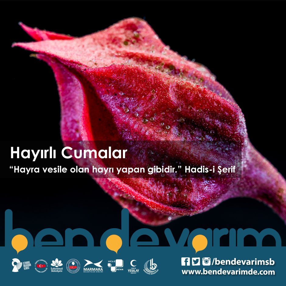 bendevarimsb's tweet photo. Hayırlı Cumalar
https://t.co/72w87yDbag

#hayatsenicagiriyor #sennerdesin #bendevarim https://t.co/KxsLAFWYID